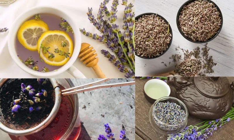 Lavender Teas Nedir?