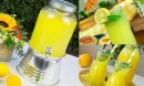 Evde Limonata Yapmanın Avantajları
