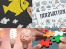 İnovasyon Süreçleri Nedir?