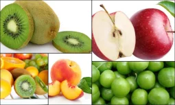 Diet Programs for Reflux Patients