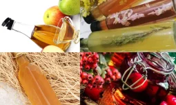 What is the History of Vinegar?