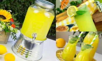 Evde Limonata Yapmanın Avantajları