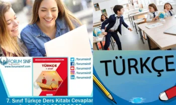 7. Sınıf Türkçe Ders Kitabı Cevapları Paragraf Çözümlemeleri