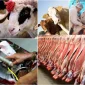 Advantages of Professional Slaughterhouse Systems