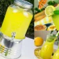 Evde Limonata Yapmanın Avantajları