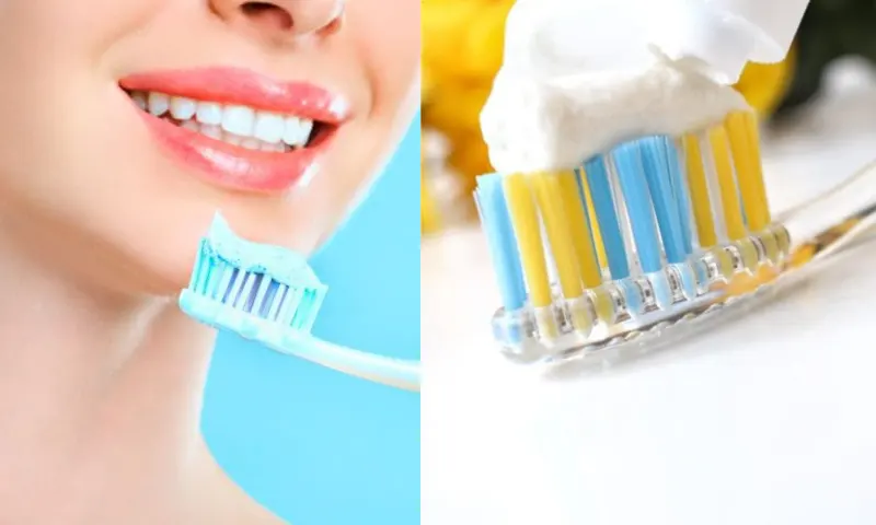 bitkiseldişmacun-2-lu-1