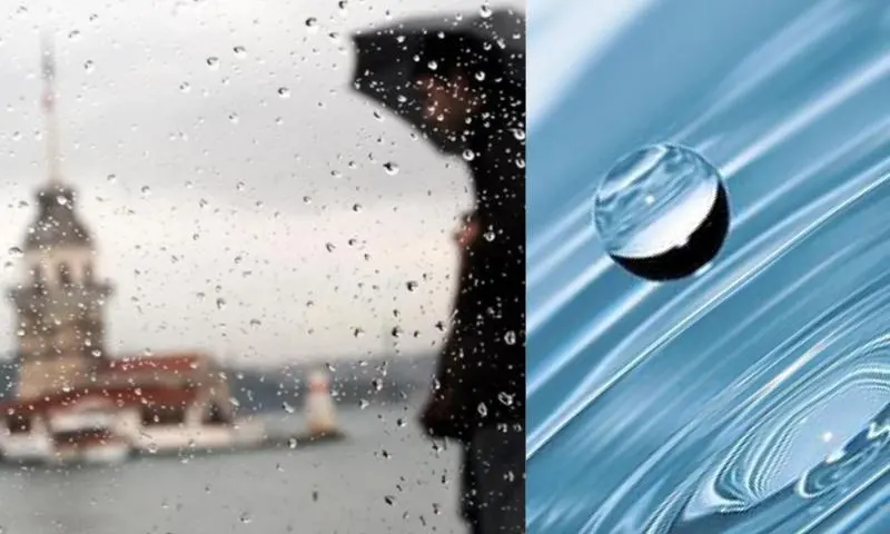 rain-2-li-1